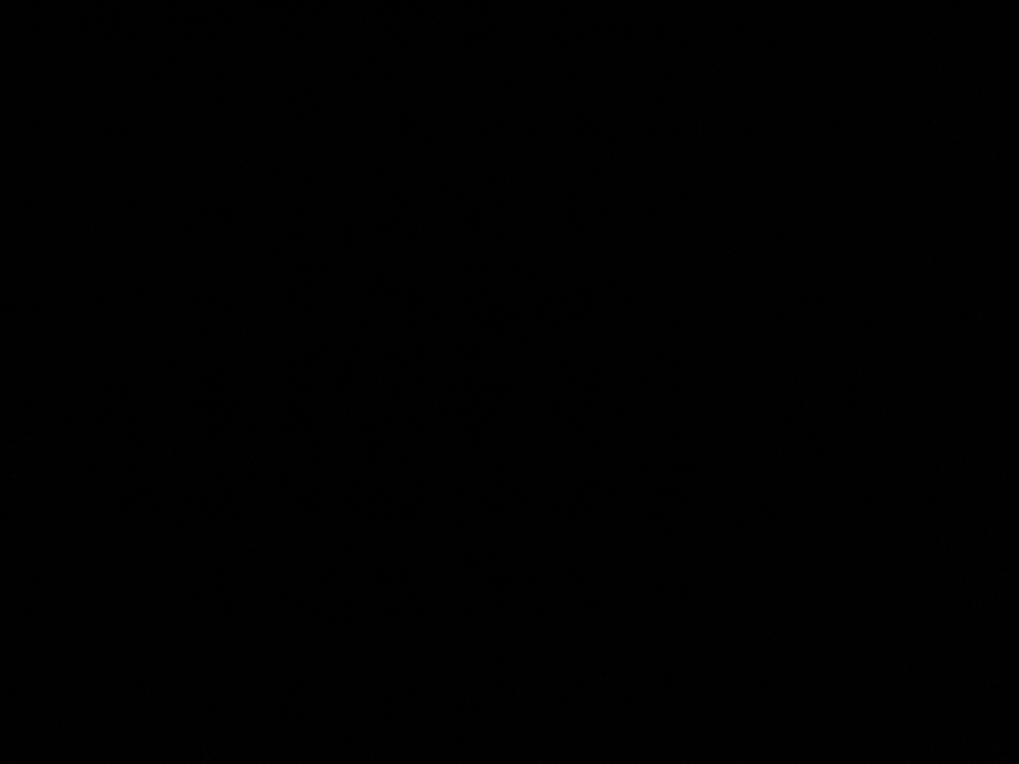 行不行